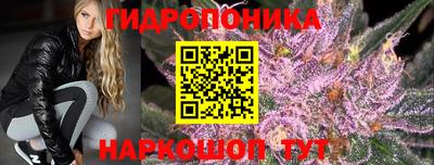ПСИЛОЦИБИНОВЫЕ ГРИБЫ Сланцы