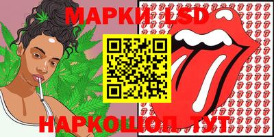 apvp Славгород
