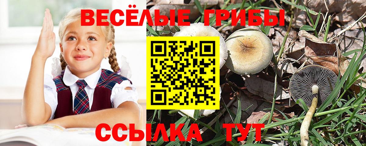 Псилоцибиновые грибы MAGIC MUSHROOMS Михайловка