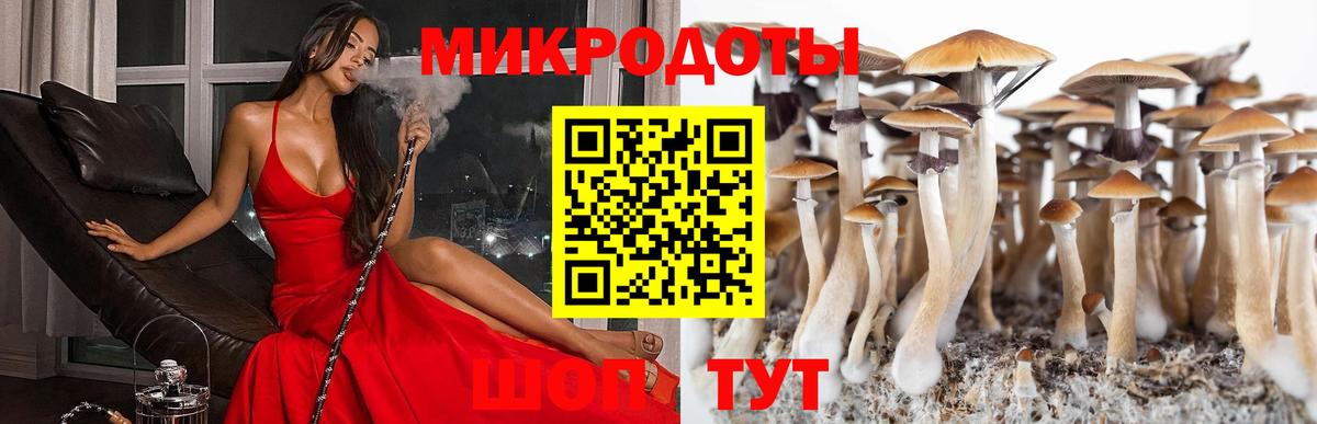 Михайловка  что такое   Вход с VPN  Псилоцибиновые грибы мухоморы 